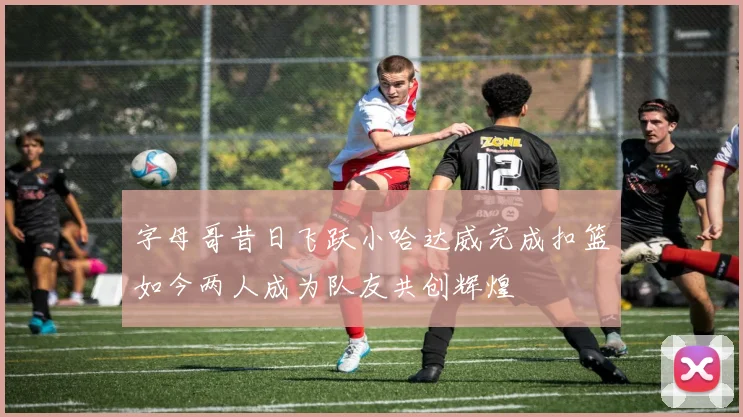 字母哥昔日飞跃小哈达威完成扣篮如今两人成为队友共创辉煌