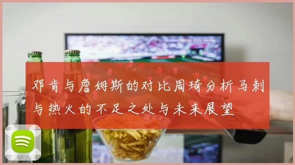 邓肯与詹姆斯的对比周琦分析马刺与热火的不足之处与未来展望