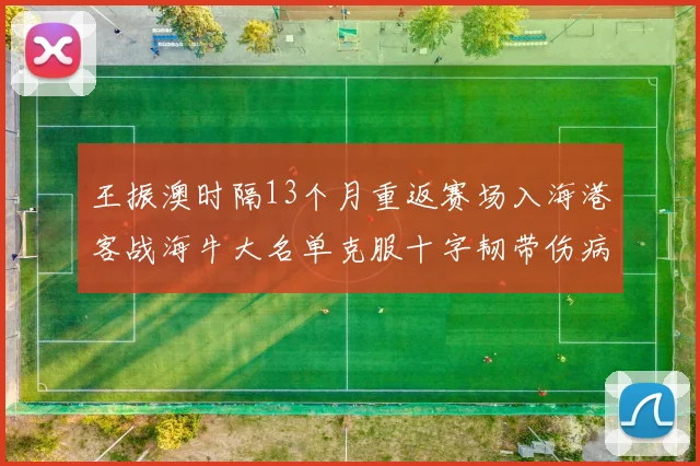 王振澳时隔13个月重返赛场入海港客战海牛大名单克服十字韧带伤病挑战