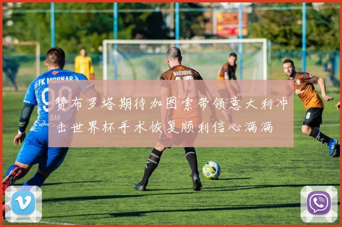 赞布罗塔期待加图索带领意大利冲击世界杯手术恢复顺利信心满满